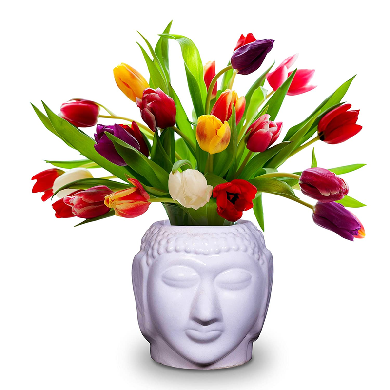 81o-rfynqal-sl1500_91b1a537-70e0-4785-8cf8-5b1d80f8d12b-4x